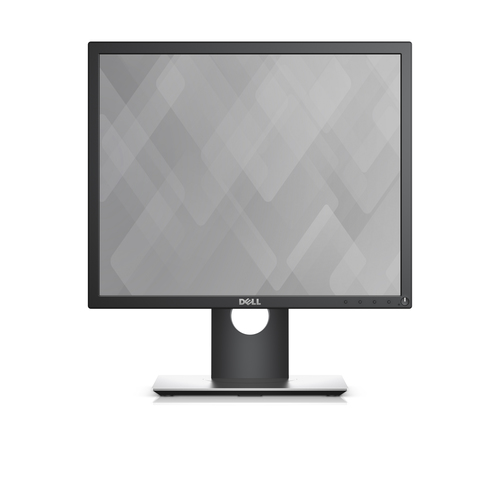 DELL 19 MONITOR - P1917S