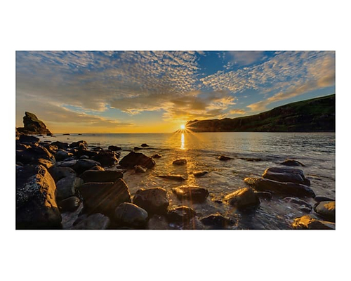 LFD IF025R NETHERLANDS