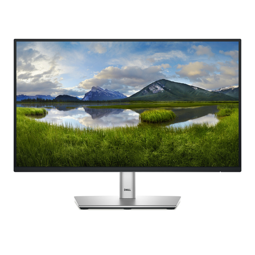 DELL 22 MONITOR - P2225H
