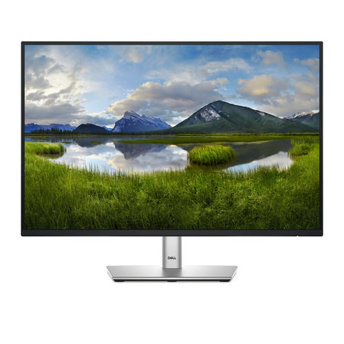 DELL 24 MONITOR - P2425
