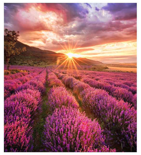 SAMSUNG LED - IF-E 1.5MM CABINETS