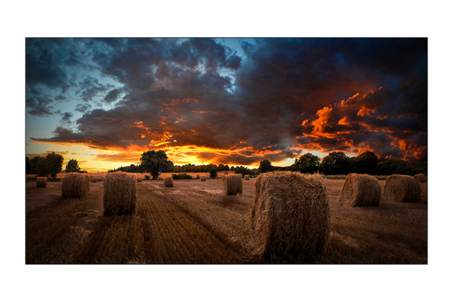 SAMSUNG 46IN VIDEO WALL 24/7