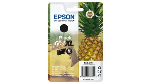SINGLEPACK BLACK 604XL INK