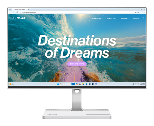 LENOVO L24D-4C 23.8 INCH IPS
