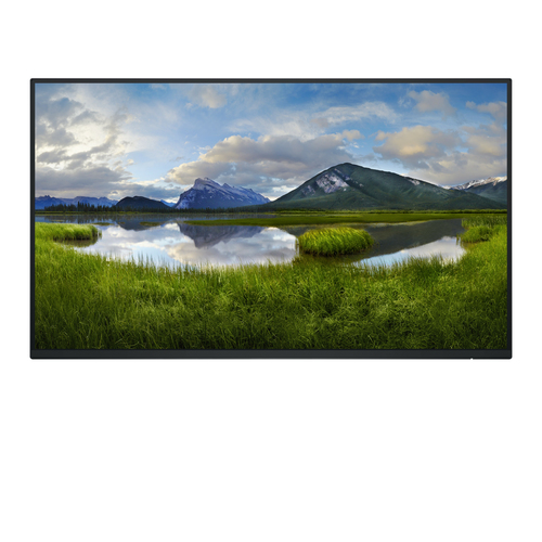 DELL 24 MONITOR - P2425H WOS