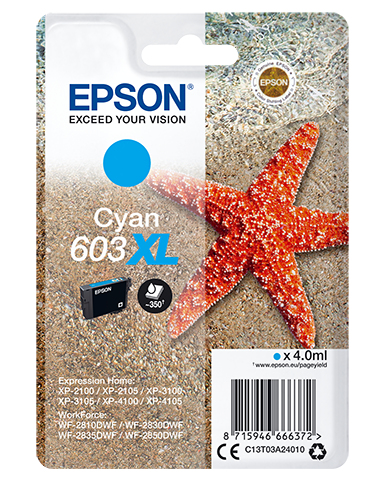 SINGLEPACK CYAN 603XL INK
