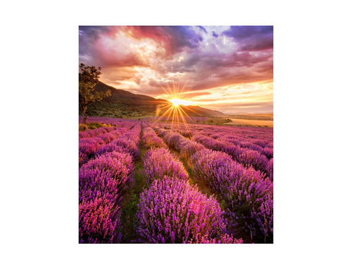 SAMSUNG LED - IF-E 1.5MM CABINETS