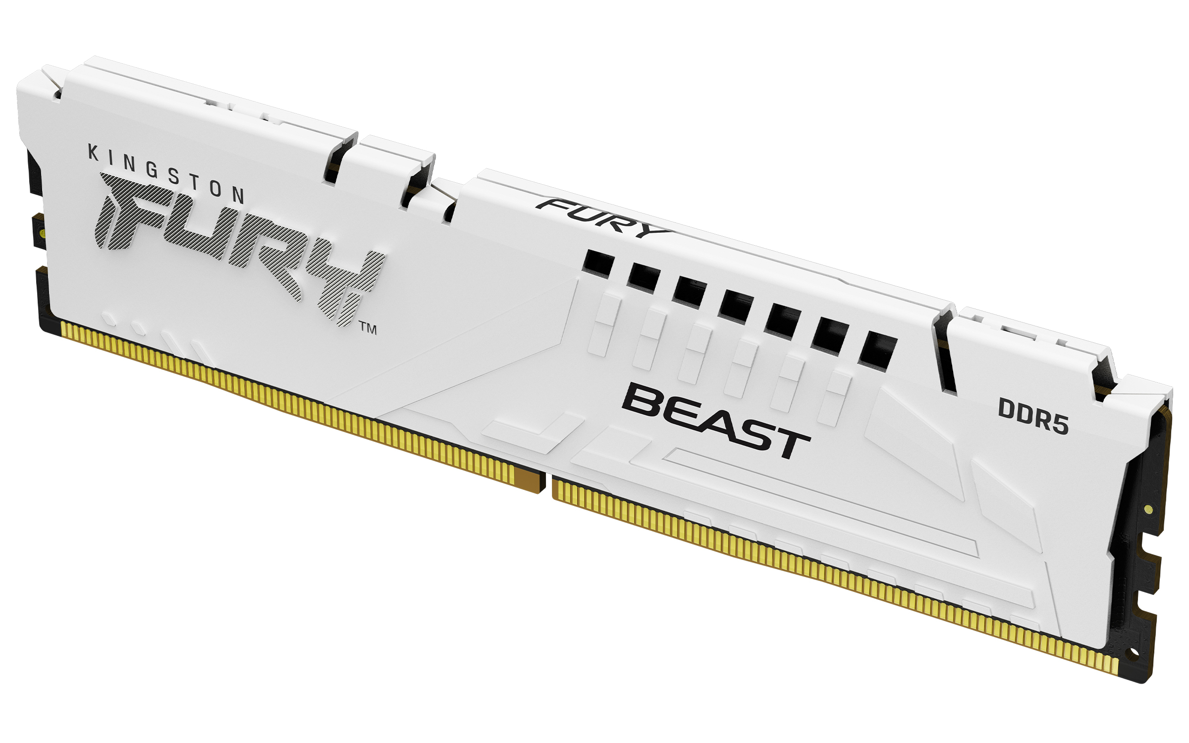 Kingston FURY Beast KF556C36BWE-16 16GB 5600MHz DDR5 DIMM System Memory