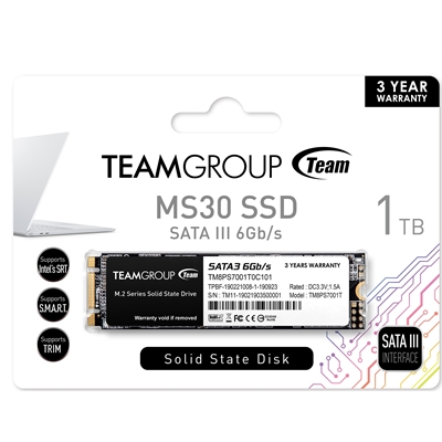 Team MS30 (TM8PS7001T0C101) 1TB, M.2 Sata Interface, Read 530MB/s, Write 480MB/s, 3 Year Warranty